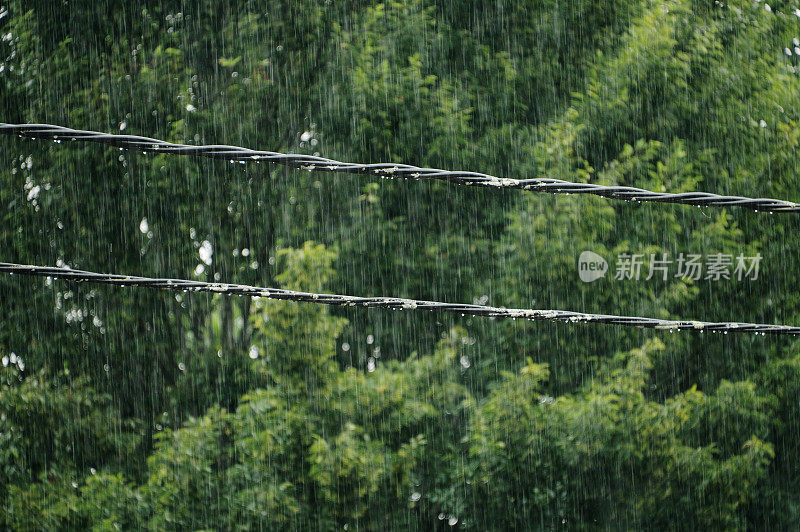 降雨