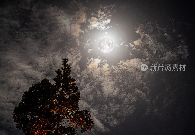 美丽的大满月在夜空中