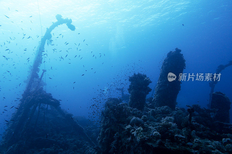 沙特阿拉伯延布红海的沉船