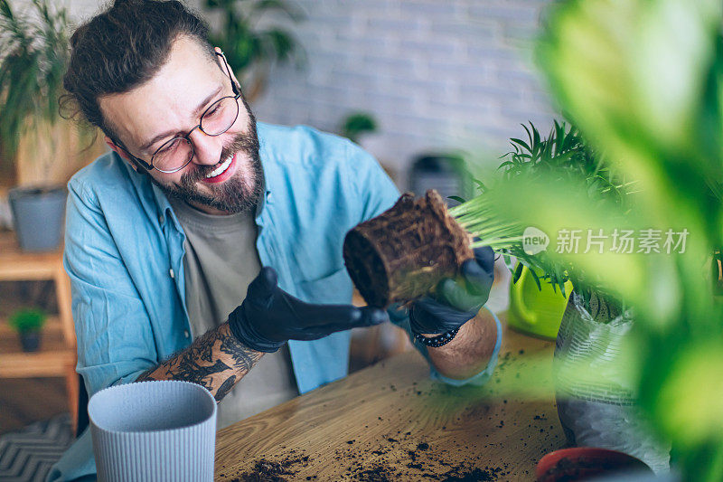 一个人在看他新种植的室内植物的根