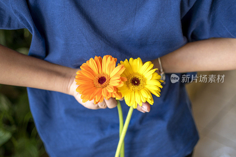 橙色和黄色的非洲菊花在人的手中盛开