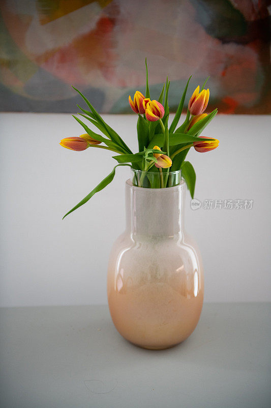 桌上花瓶里的一束郁金香