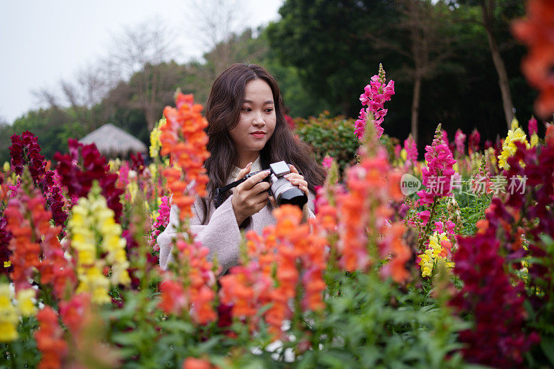 花丛中的女游客