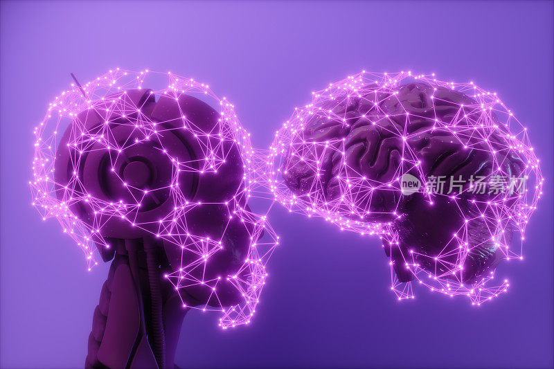 人类大脑对抗人工智能(AI)。机器人头部和三维人脑与连接点和神经丛线。人工智能与深度学习概念