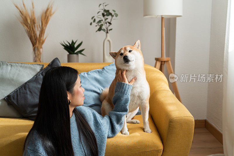 在家里和她的柴犬一起享受时光的女人