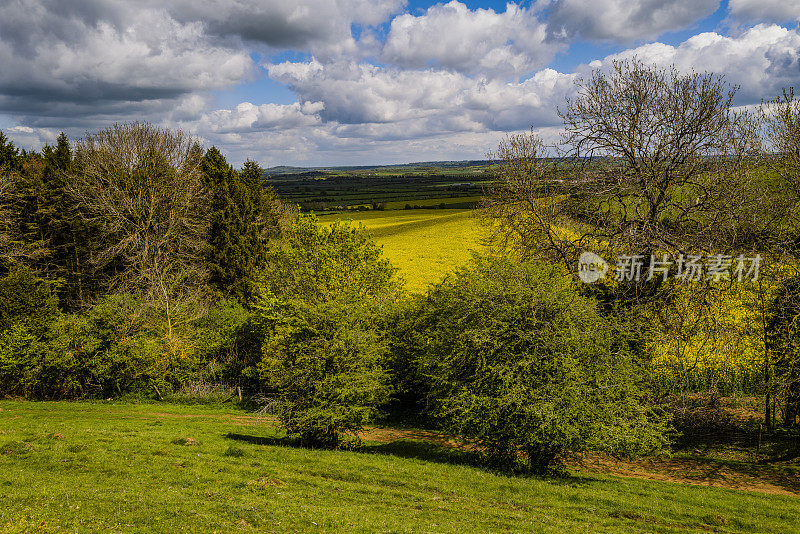 伯顿达塞特山俯瞰英国风景，英国中部的沃里克郡