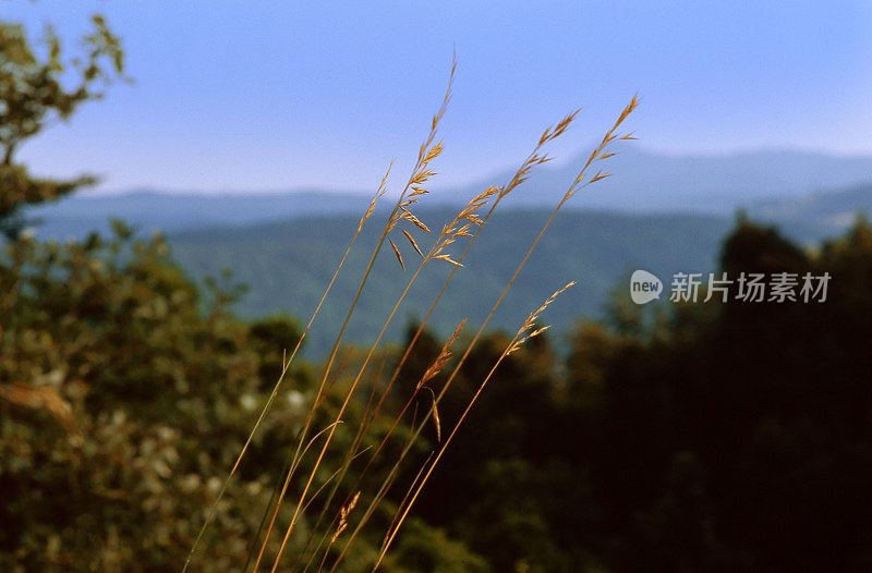 汝拉是法国东部Bourgogne-Franche-Comté的一个部门，以汝拉山脉命名