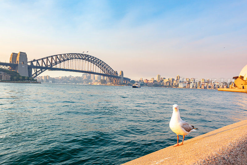 澳大利亚悉尼，东环形码头，海港大桥黄昏的景色