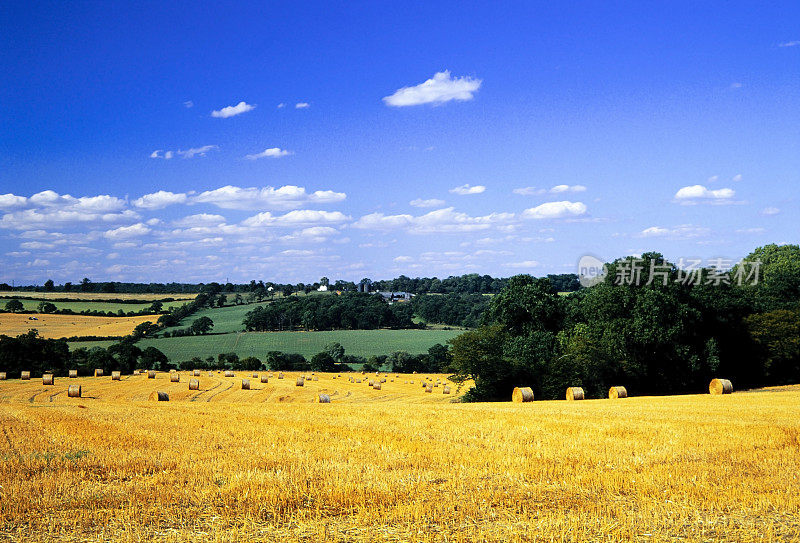 英国中部伍斯特郡的农田作物夏季景观拍摄的电影