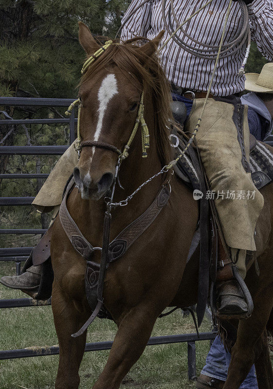 美国西部牛仔的绳索和骑马装备