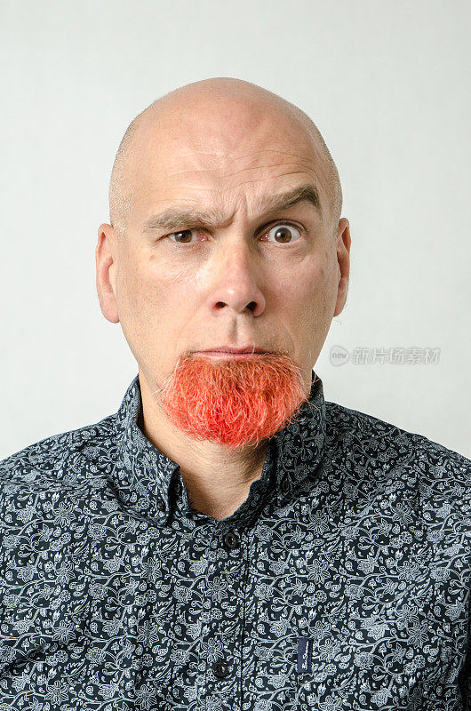 一个下巴染红胡须的秃顶男人的肖像