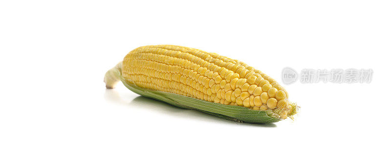 玉米孤立在白色背景上