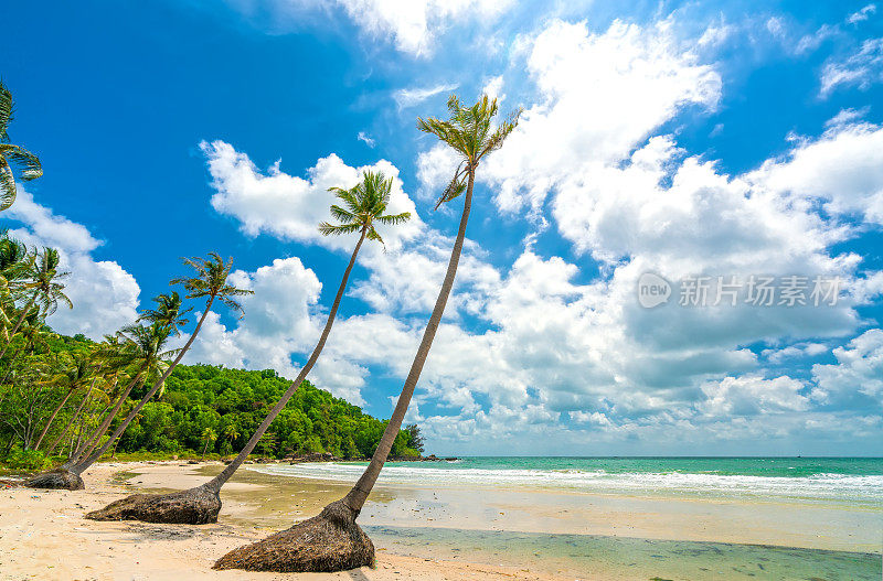 美丽的Sao沙滩上的热带棕榈树海景