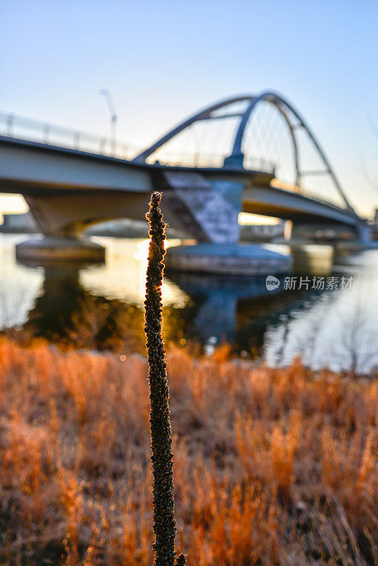 明尼阿波利斯市的密西西比河沿岸，靠近洛瑞大道大桥