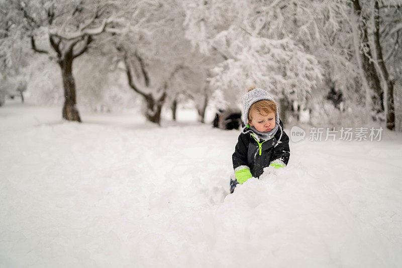 孩子们在雪中玩耍