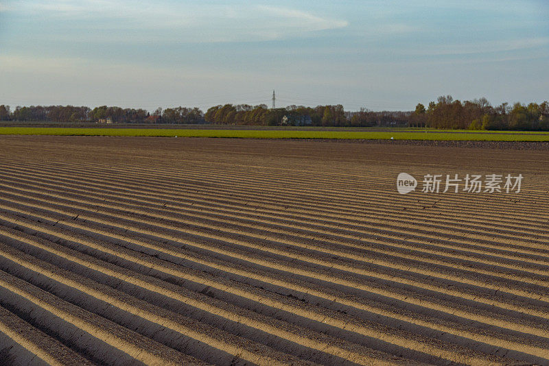 马铃薯田采用直线模式