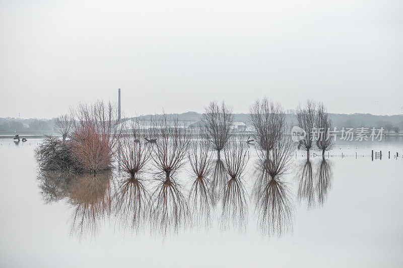高水位淹没了莱茵河平原