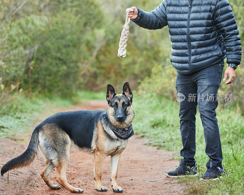 一个认不出来的男人和他可爱的德国牧羊犬在公园里玩耍