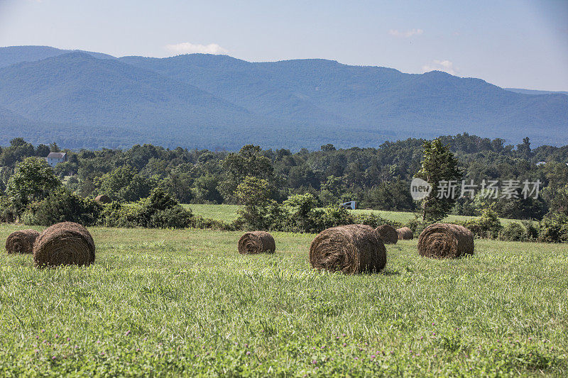 田里的干草堆