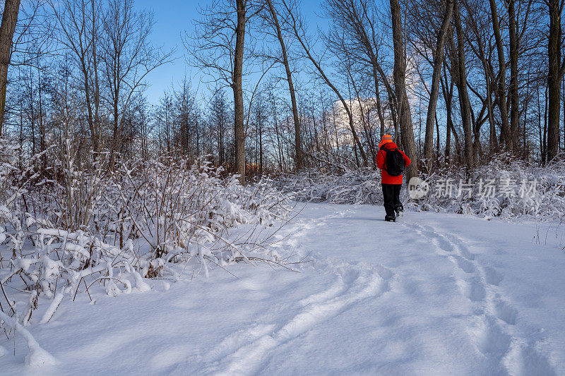 一名游客在加拿大市中心的雪地公园里散步