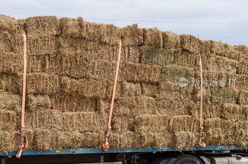 用索具带固定的长方形干草包。农产品公路货物运输。白天。外的前提。有选择性的重点。