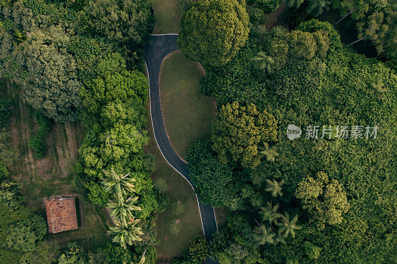 俯视图沥青道路之间的树木和草坪