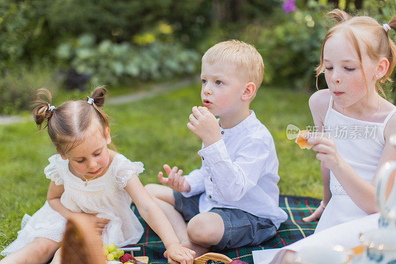 夏天在大自然的毯子上野餐。户外娱乐。一家人围坐在一起吃饭。篮子里的浆果和水果。两个女孩和男孩享受食物。休闲活动。假期