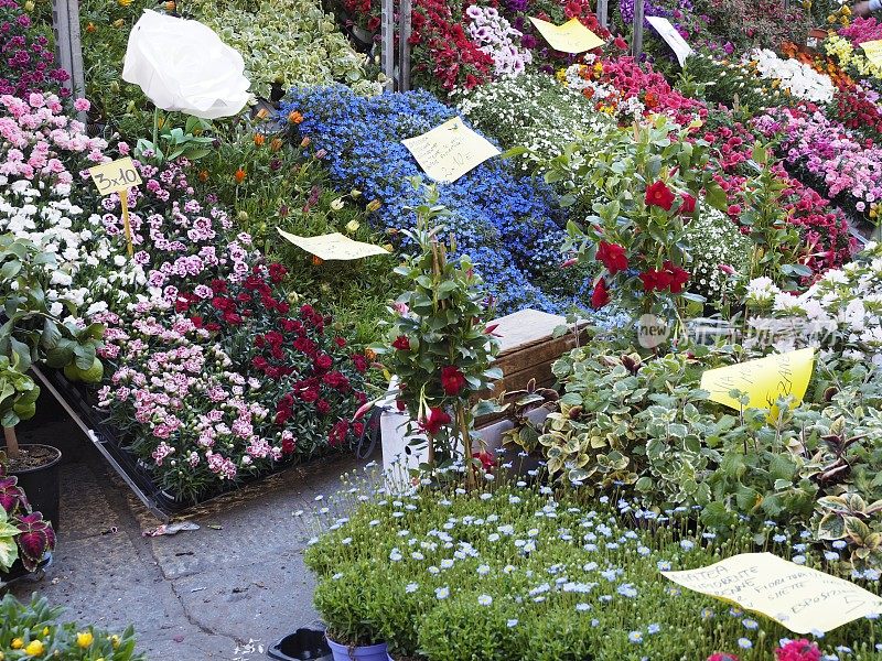米兰运河上的花卉市场