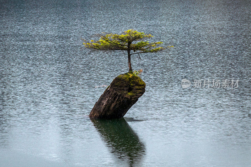 仙女湖上的雨滴