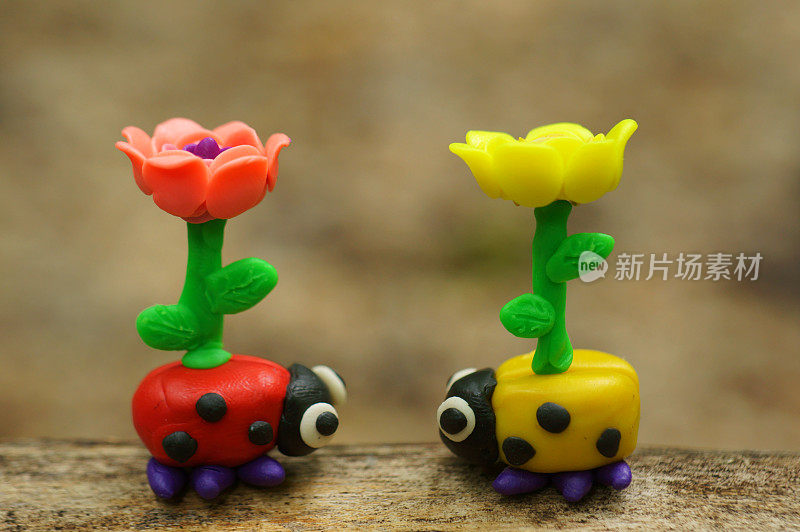 两个带花的玩具瓢虫。