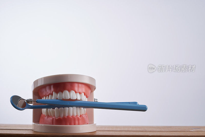 模型牙齿和牙医设备