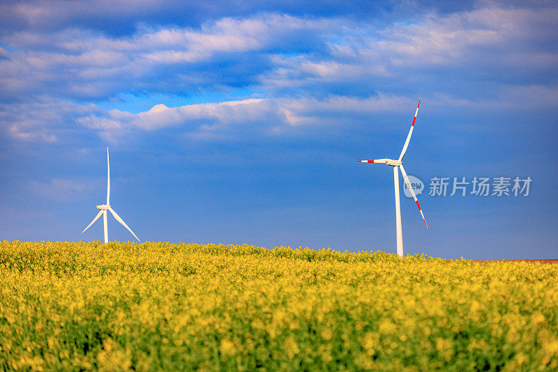 农场上的风电场在多云的天空下盛开