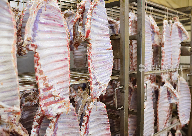 在肉类加工厂，新鲜的猪肉尸体挂在钩子上
