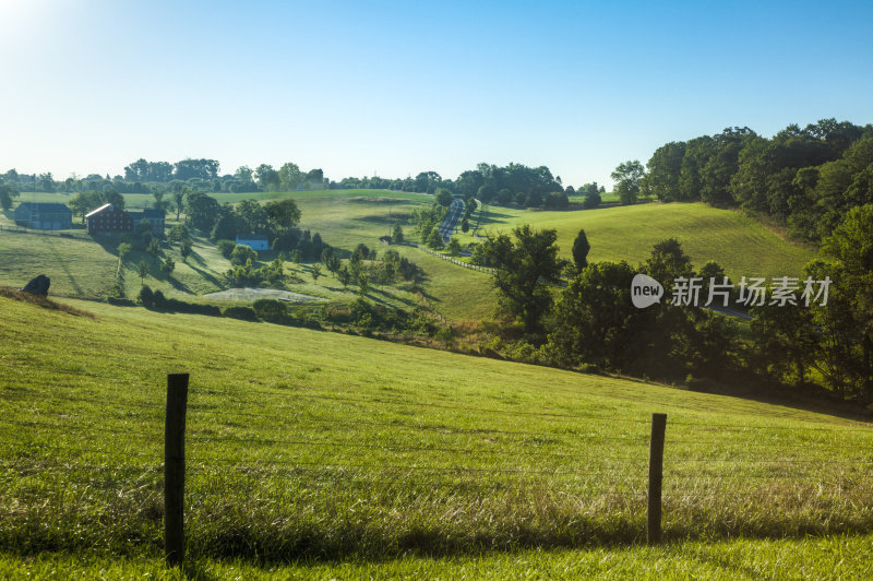 夏季景观的一个滚动的山坡