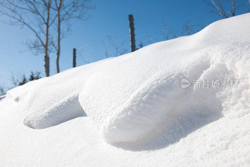 冬天的雪