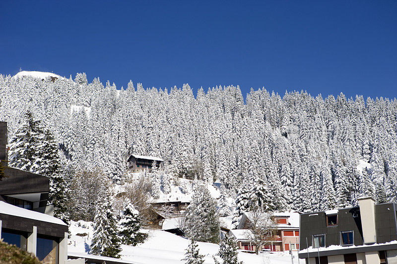 高山小屋。白雪覆盖的冬季景色。