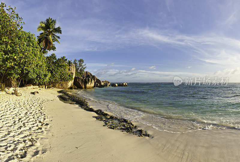 天堂岛海滩热带海洋棕榈树