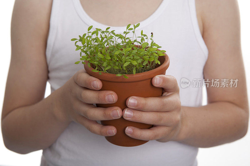 抱着植物的孩子