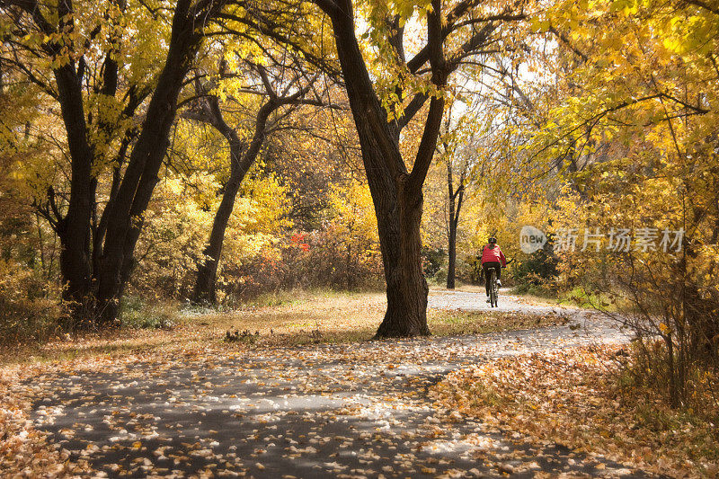 骑自行车的人喜欢在秋天沿着蜿蜒的小路骑车