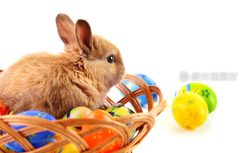 复活节兔子和彩蛋。