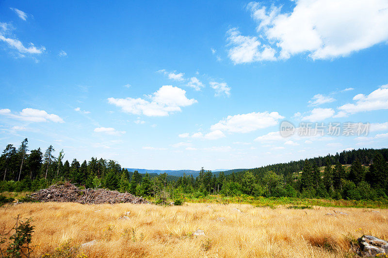 卡勒阿斯滕周围的夏季全景