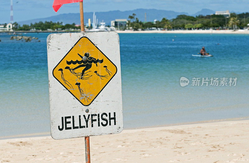 在瓦胡岛，海滩上有警告游泳者水母的标志