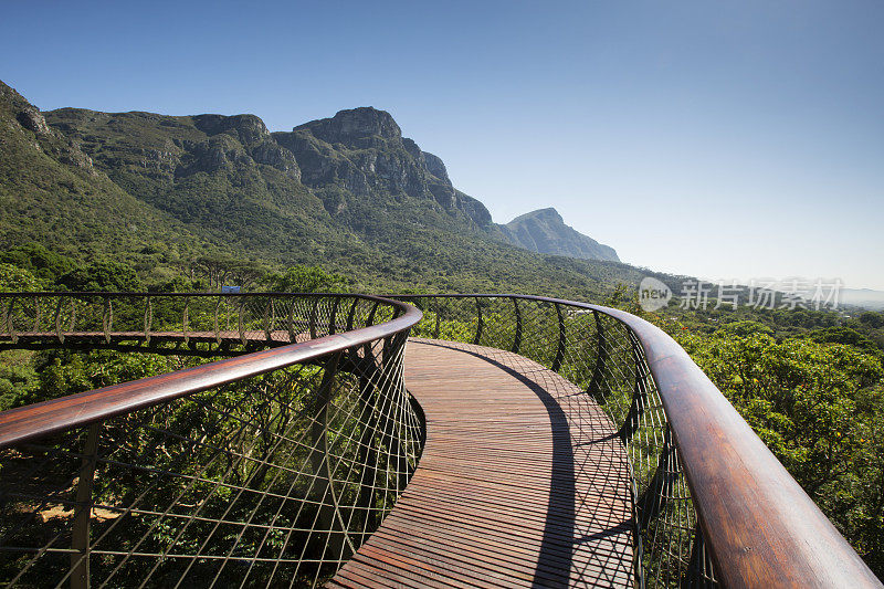 植物园Kirstenbosch