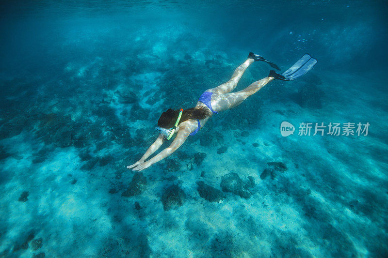 年轻女子浮潜水下潜水冒险绿松石海泻湖