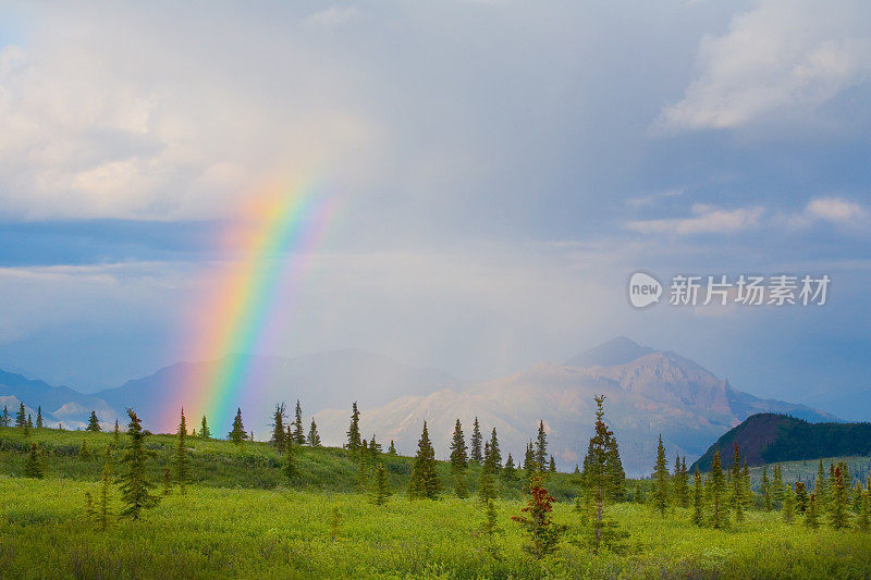 彩虹在森林和山区景观