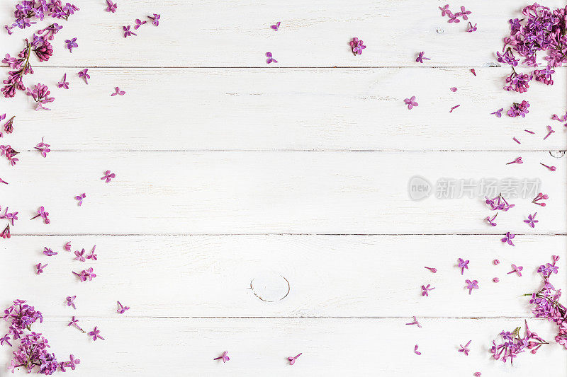 白色木质背景上的丁香花，俯视图，平躺