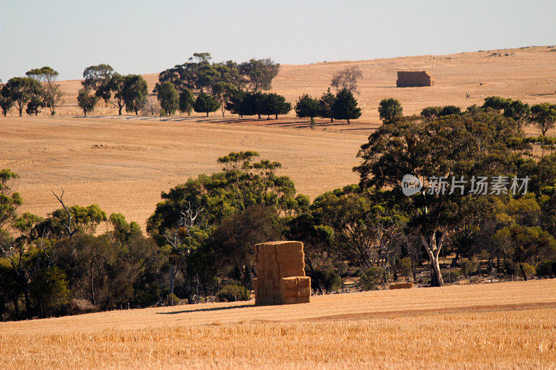 干草堆在澳大利亚农村农场，澳大利亚景观