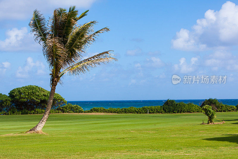 夏威夷考艾岛的海滨高尔夫球场
