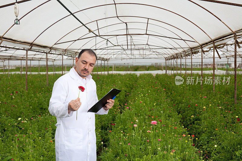 植物学家在切花温室检查记录