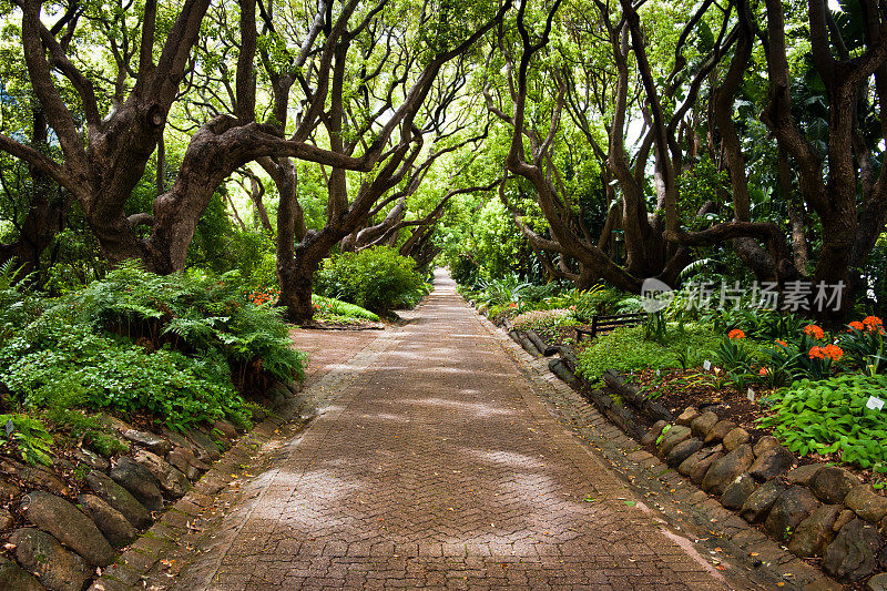 Kirstenbosch植物园